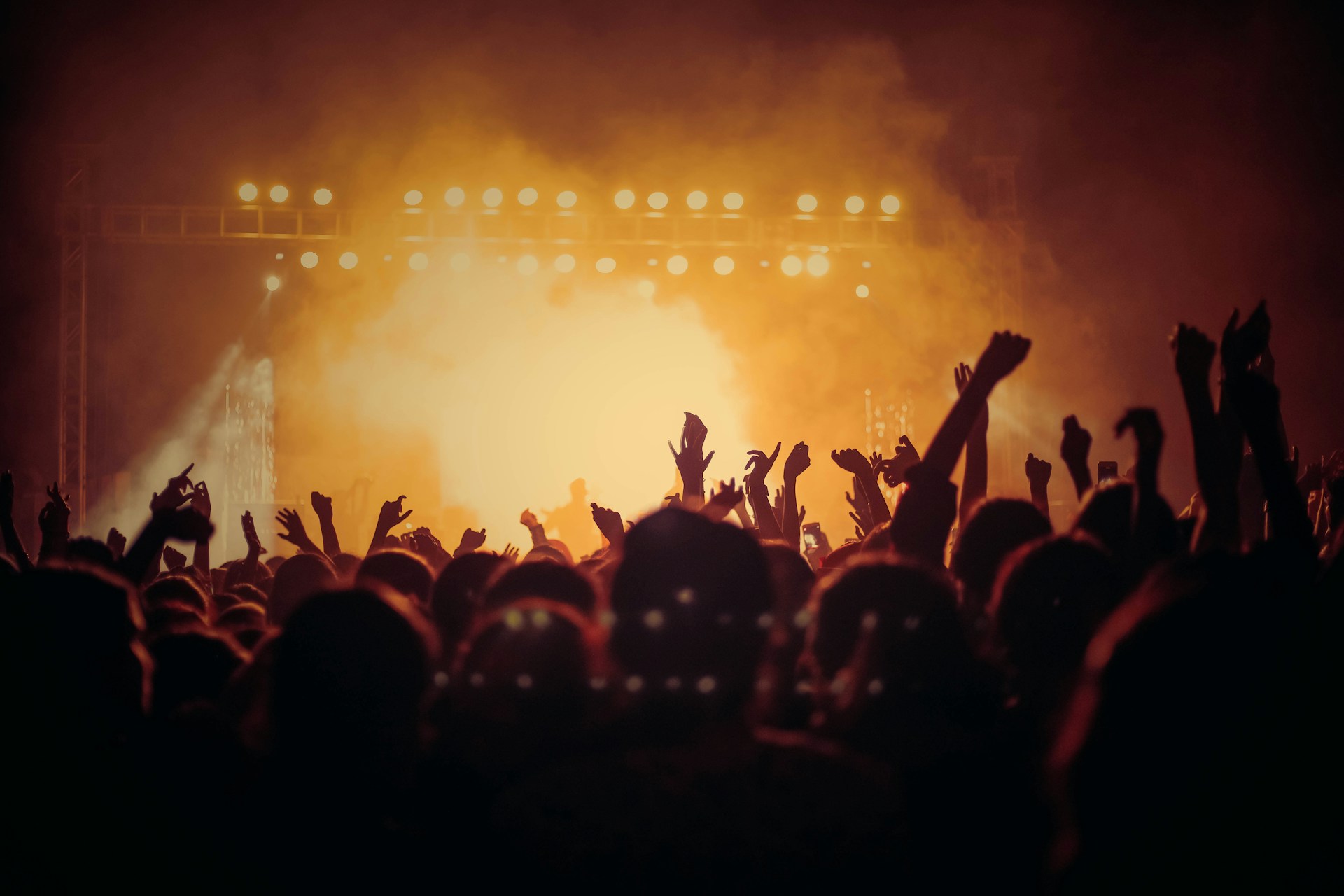 Photo by Vishnu R Nair on Unsplash