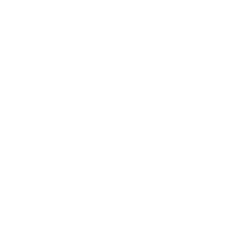 boat parade logo