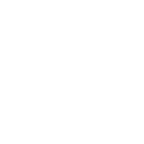 boat parade logo