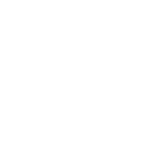 boat parade logo
