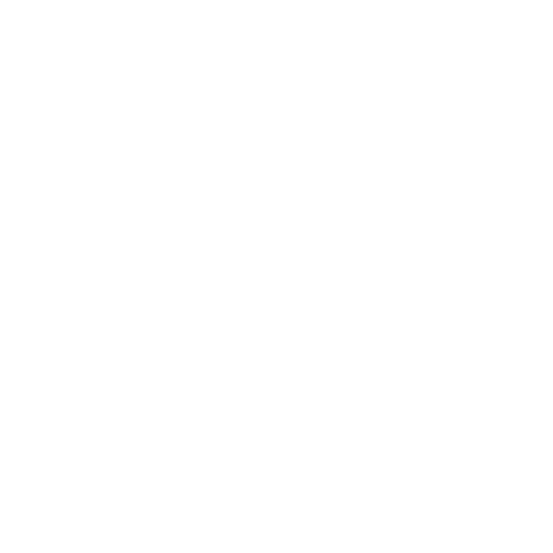 boat parade logo