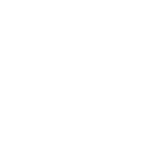 boat parade logo